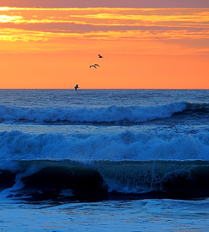 [The outline of three flying gulls can be seen against and orange sunset sky. Cylindrical ocean waves roll toward the viewer.]